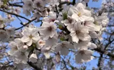 事務所画像 3