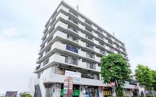 稲城オリーブ法律事務所