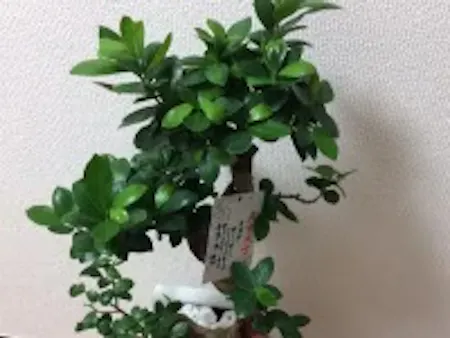 事務所画像 2