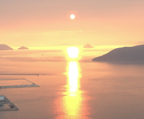 あすか総合法律事務所