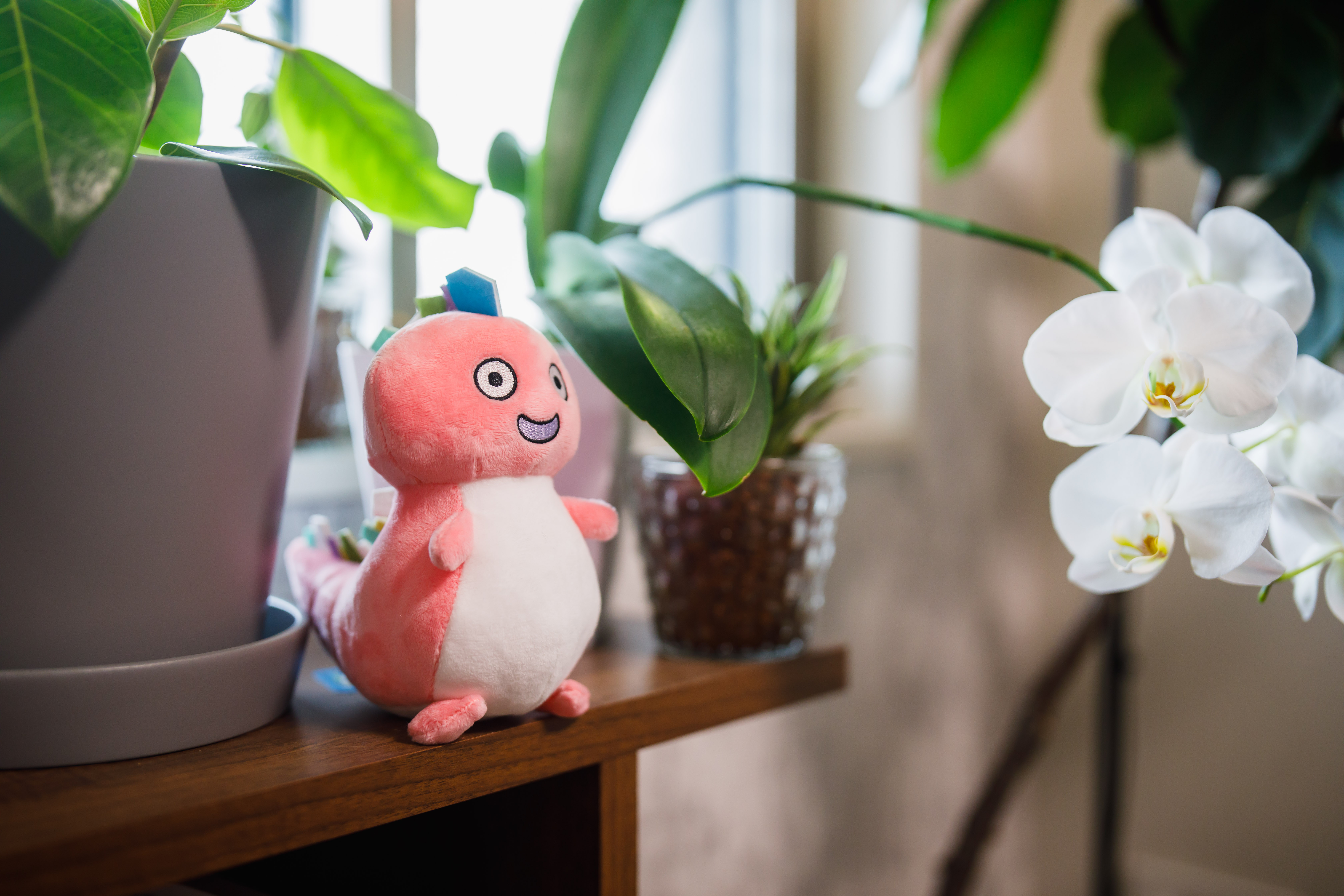 はなぞの綜合法律事務所