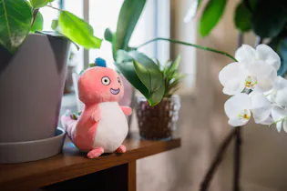 はなぞの綜合法律事務所