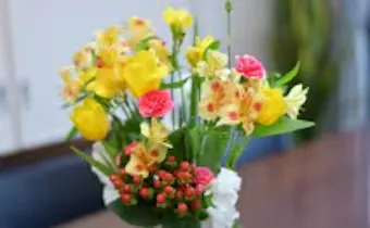 湘南台法律事務所