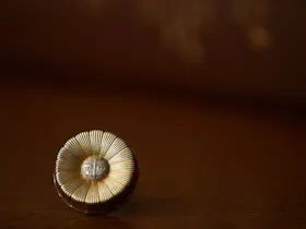 内田徹法律事務所