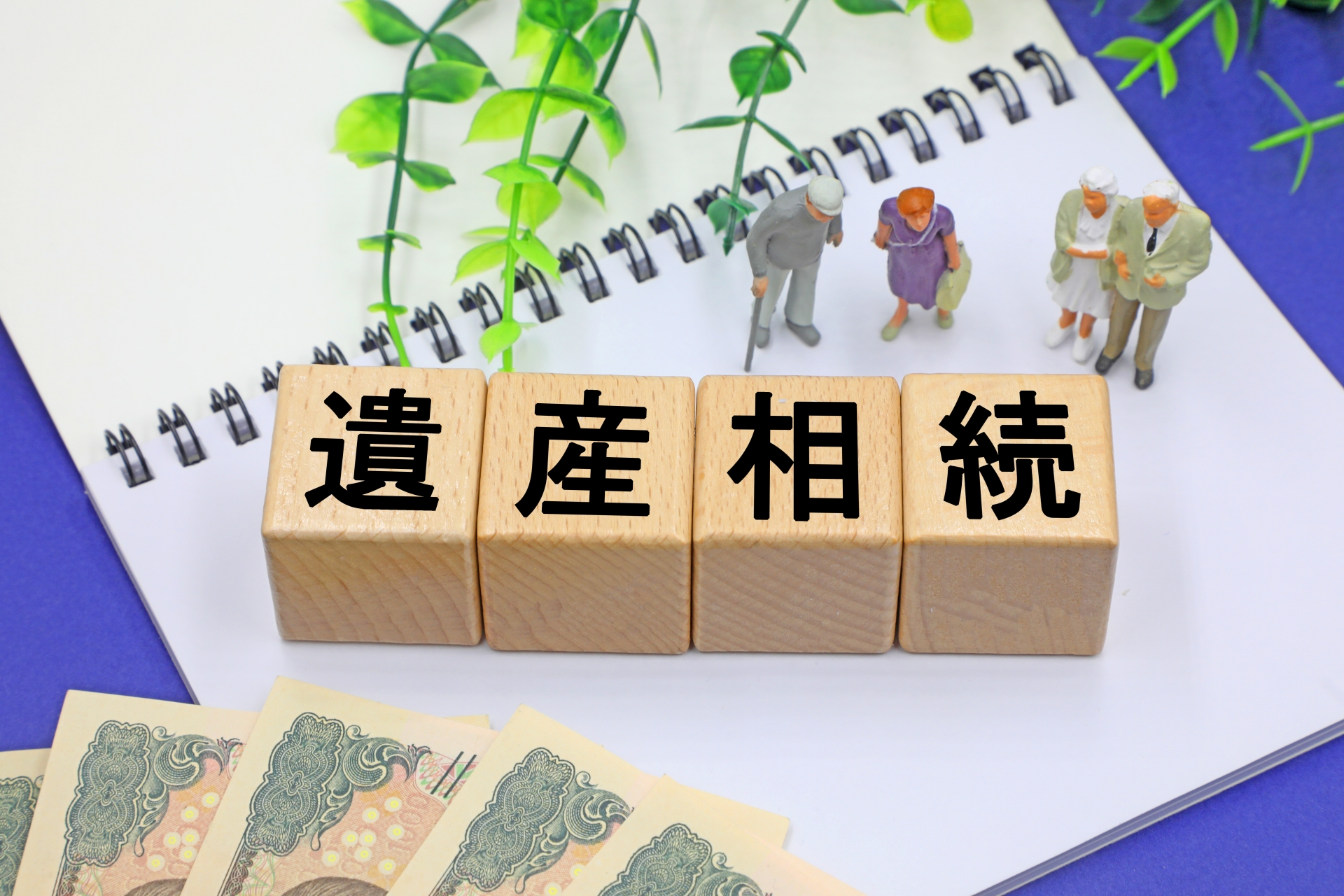 溝の口法律事務所