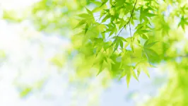 弁護士法人大西聡法律事務所