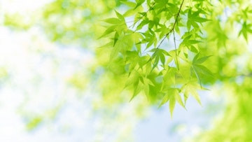 弁護士法人大西聡法律事務所