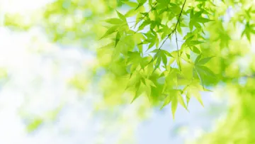 弁護士法人大西聡法律事務所