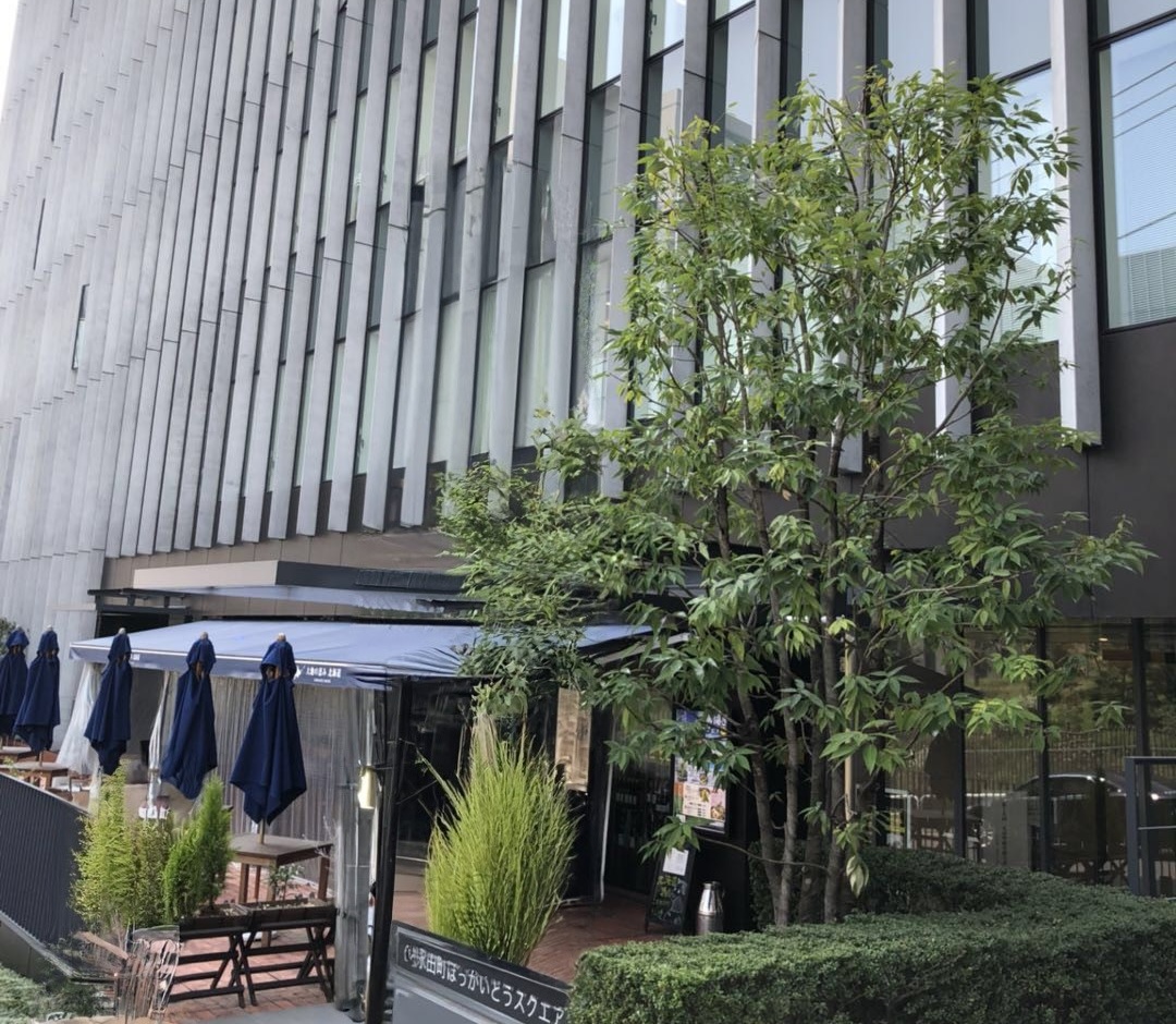 AZ MORE国際法律事務所