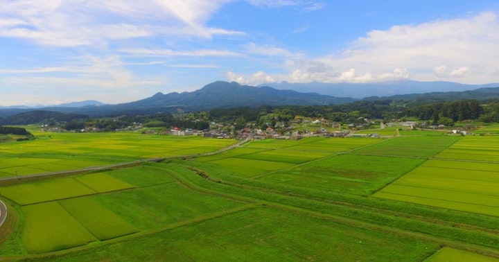 農地の相続手続きガイド！税金はどうなる？相続放棄した方がよい？名義変更の届出方法も解説