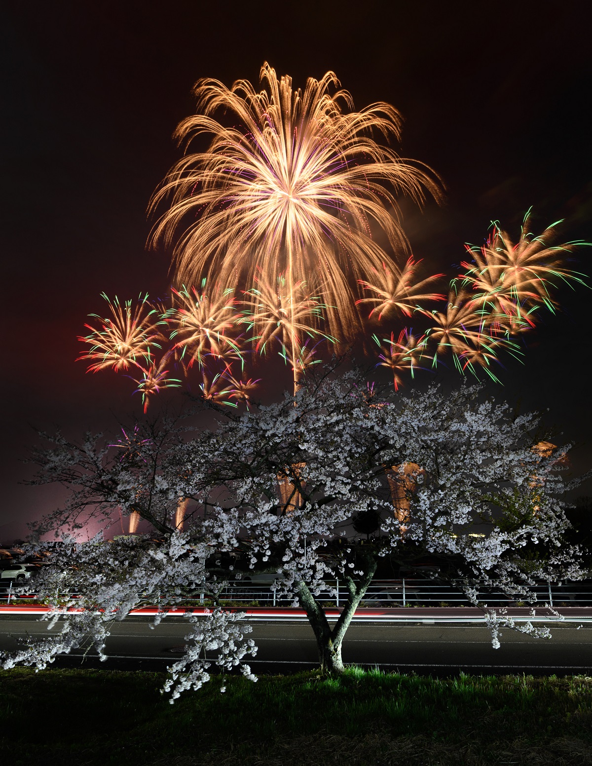 世界最高峰の花火師が富士山に集結 「富士山花火vsスピードウェイ2026