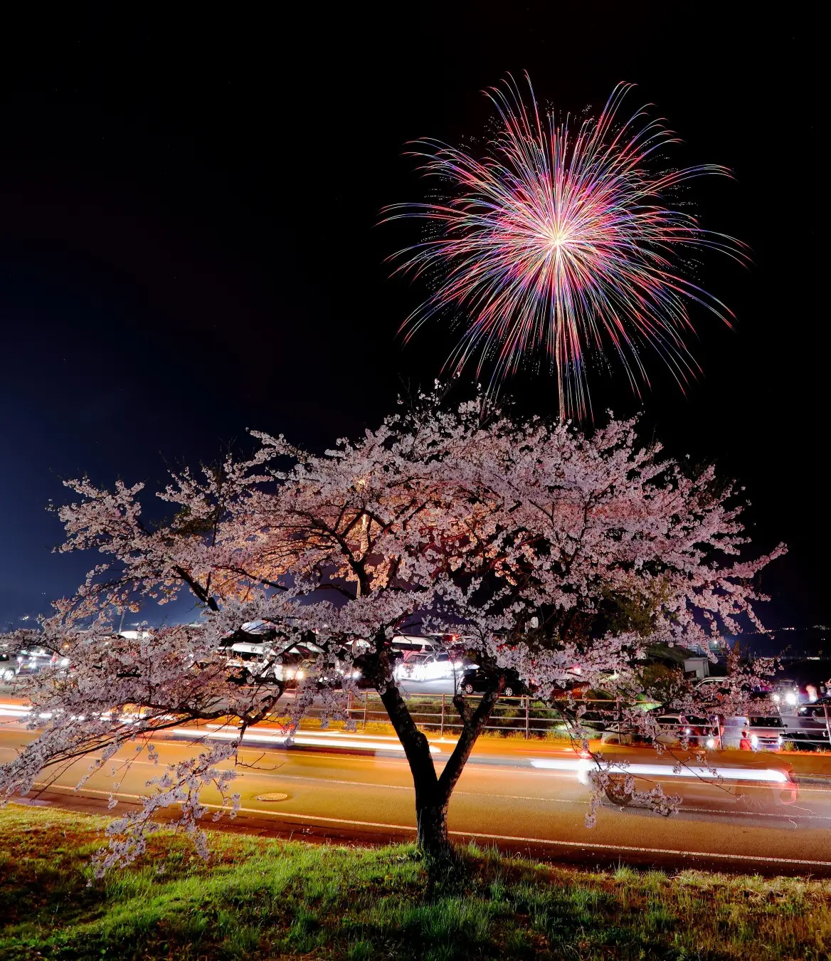 富士山花火vsスピードウェイ2026 本日より全国販売開始！ | ニュース