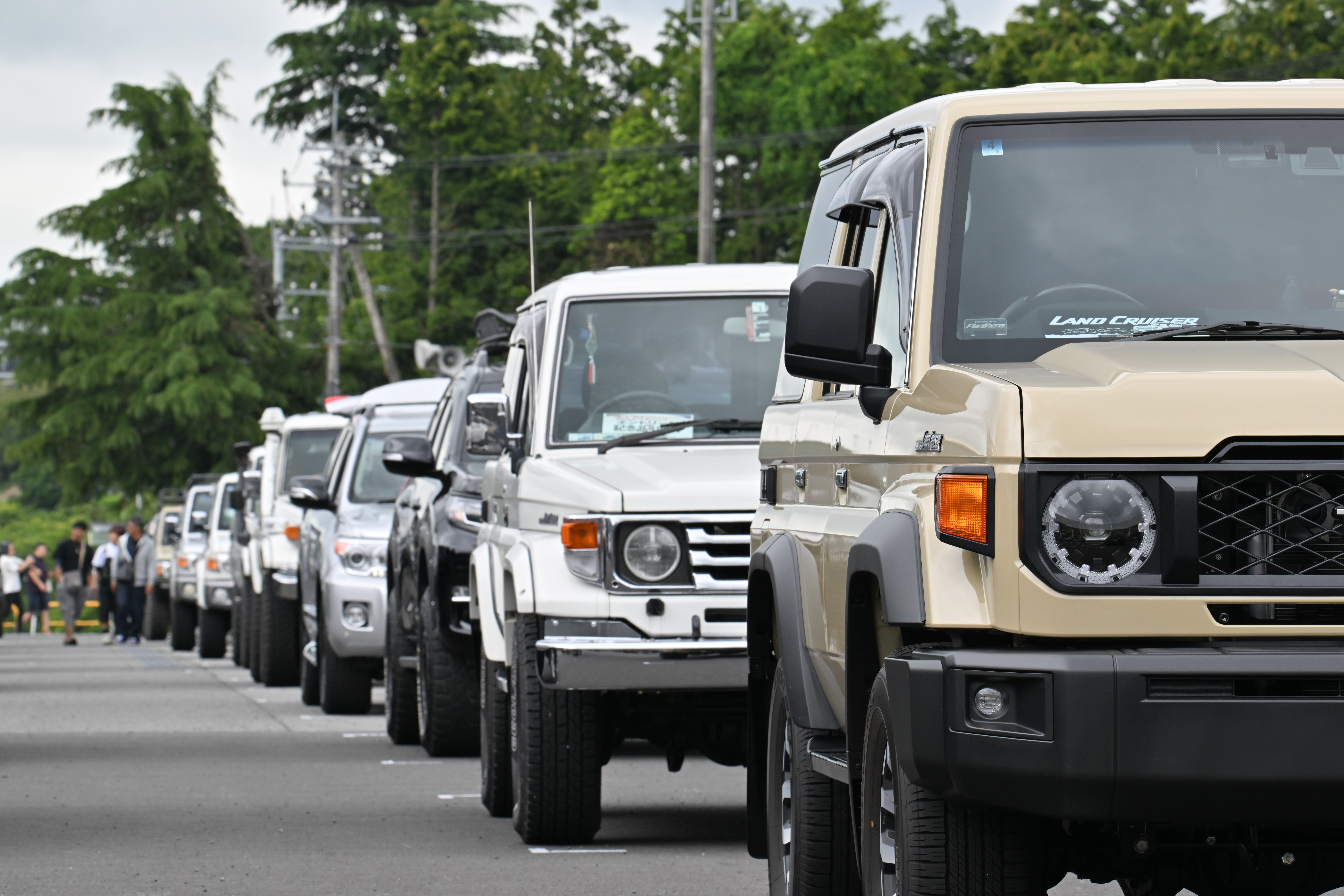 ジャパンコンベンション　右向き　2025 ジャパンコンベンション 右向き 2025 ジャパンコンベンション