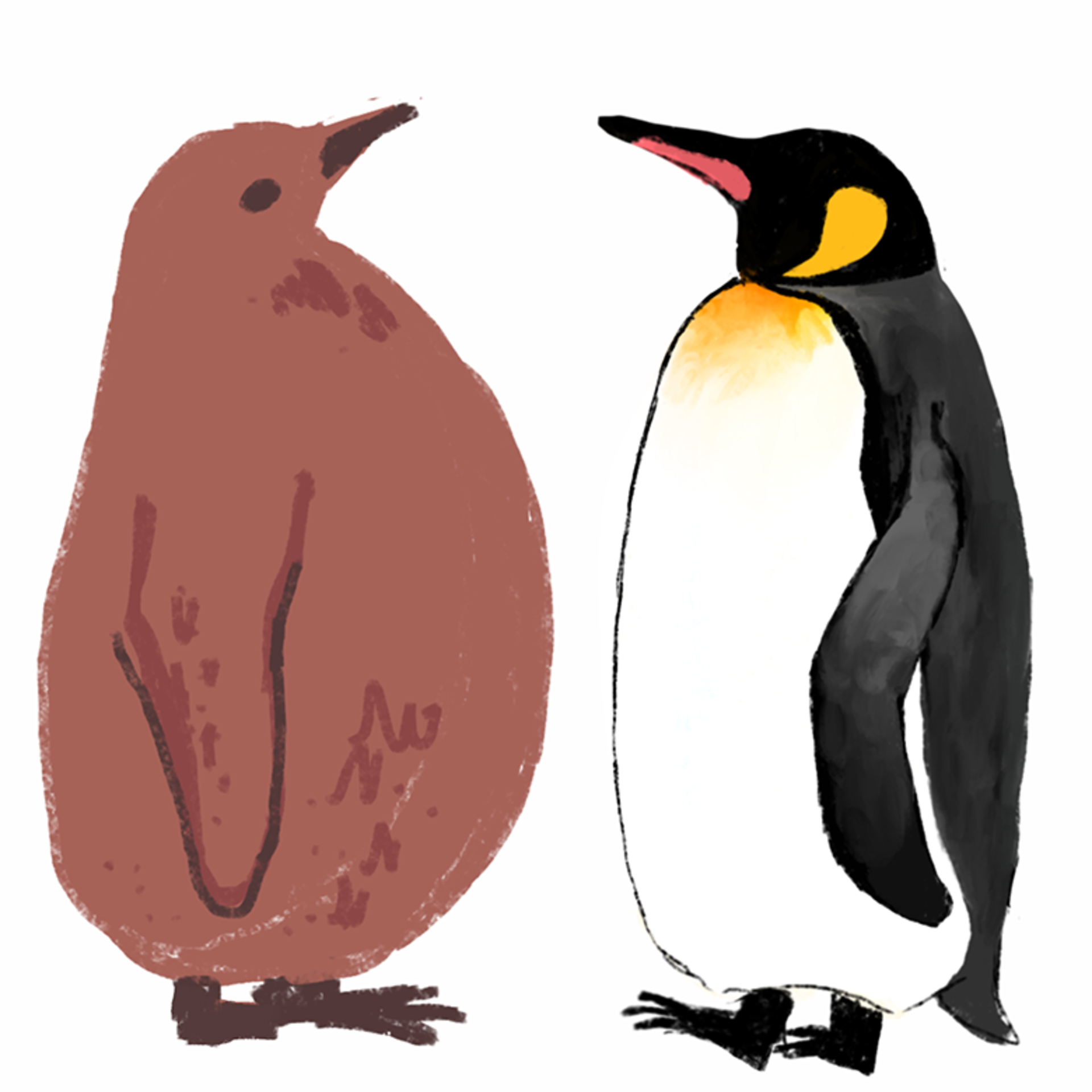 kujirakko
