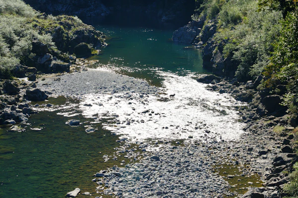 徳島県那賀町でカモシカ発見！緑に囲まれた景色が素敵。山宿花瀬庵へ