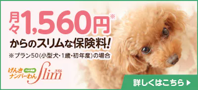 ペットアンドファミリーペット保険バナー