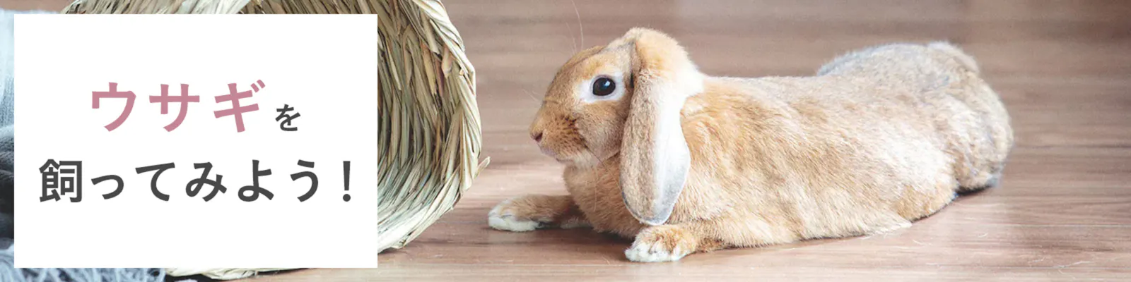 その他用バナー02