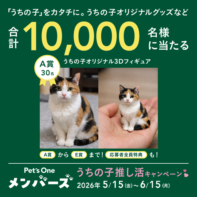 推し活キャンペーン