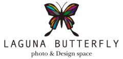 laguna_butterfly_logo