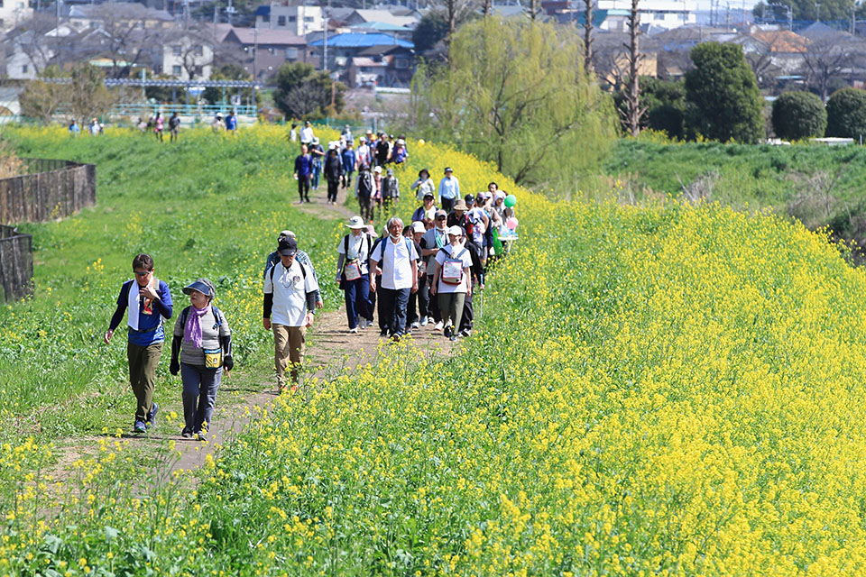 「第14回さいたマーチ〜見沼ツーデーウオーク〜」の 写真撮影に協力します