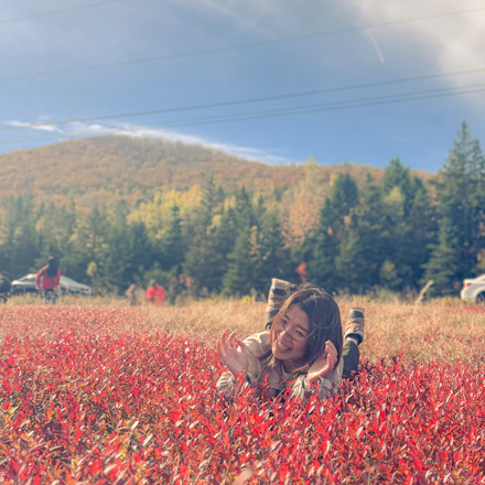 Yoshimi