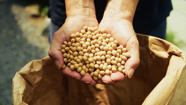 ゆば料理店 ゆう豆13