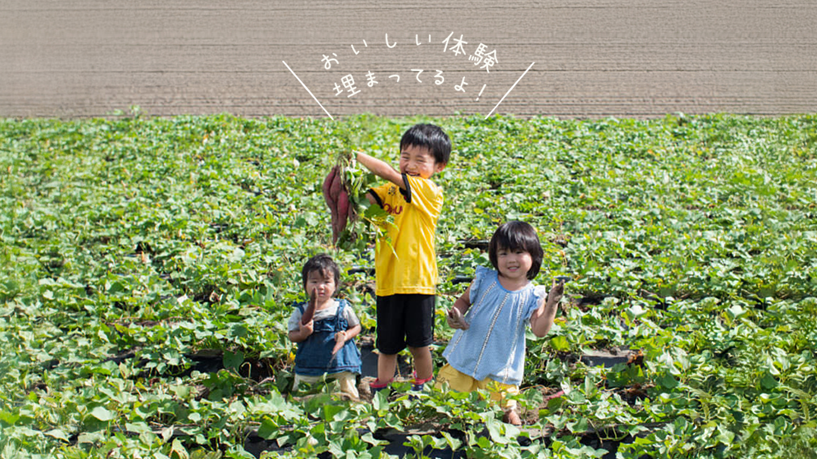 JA里浦ファーム