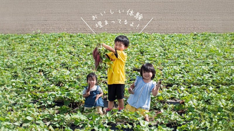 JA里浦ファーム0