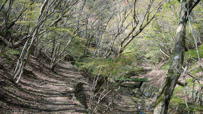 徳島県立佐那河内 いきものふれあいの里0