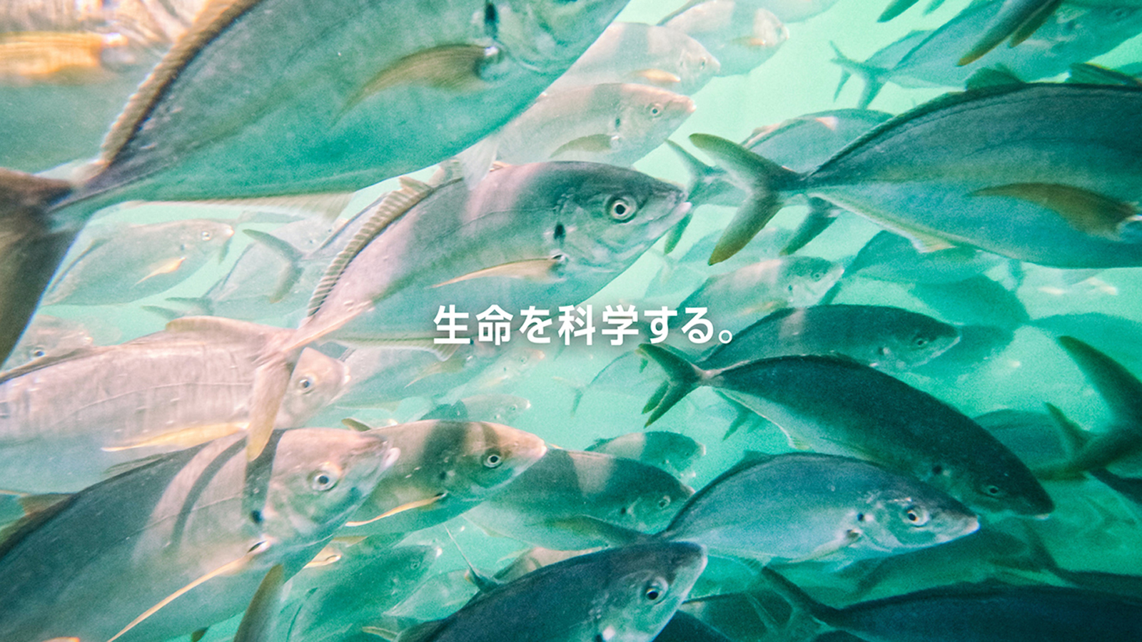 バイオ科学