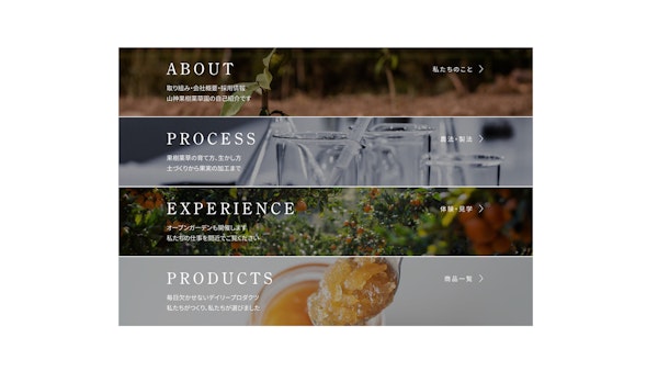 山神果樹薬草園11