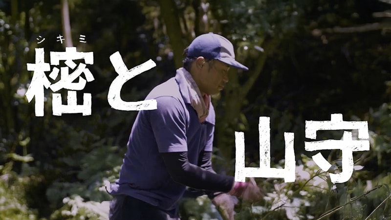 樒（シキミ）と山守 Yahoo! MICRO DOCS0