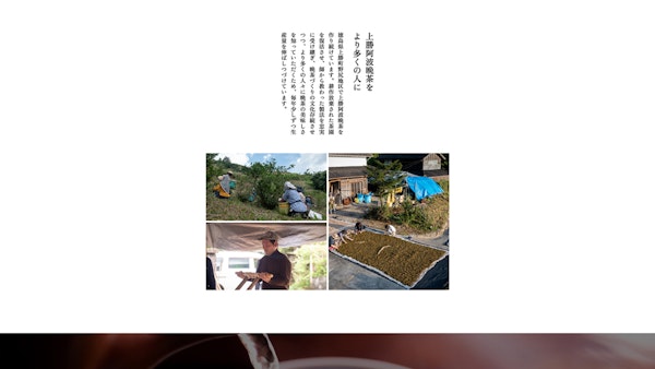 髙木晩茶農園11