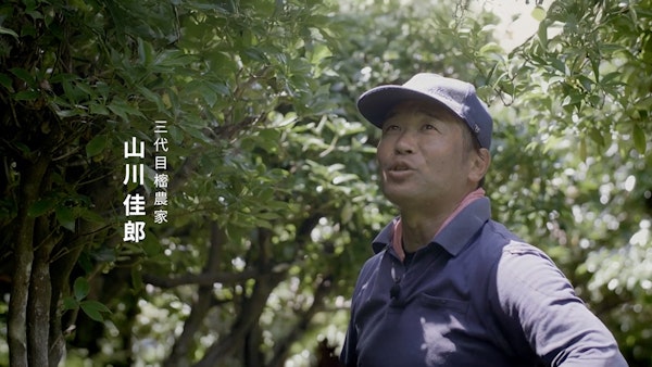 樒（シキミ）と山守 Yahoo! MICRO DOCS10