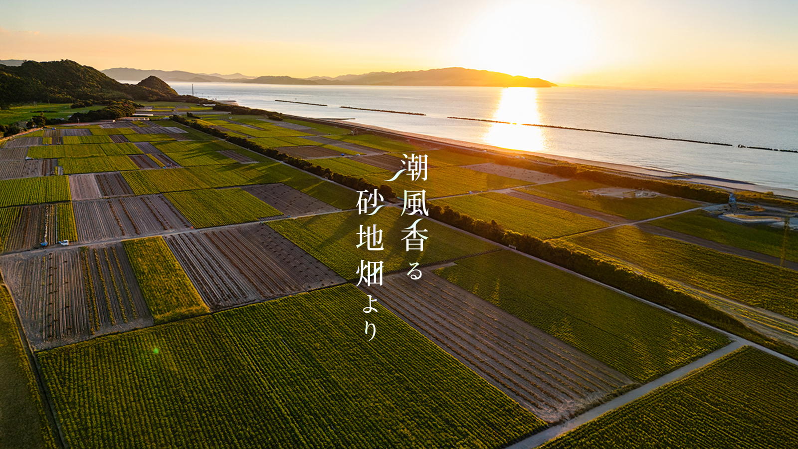 JA里浦 WEBサイト・ポスター