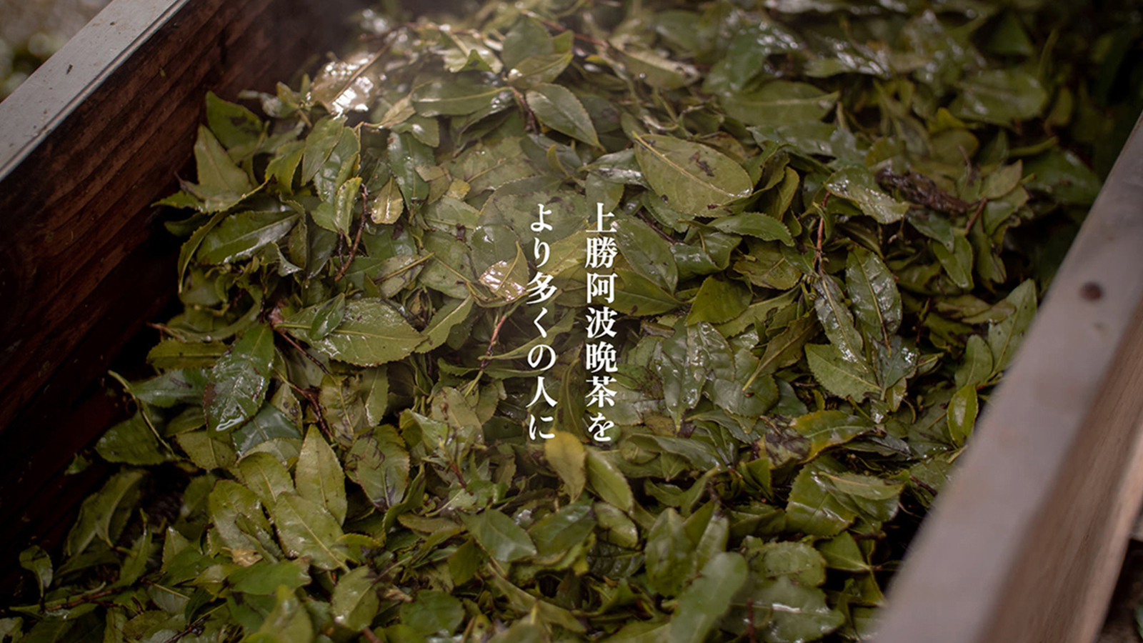 髙木晩茶農園