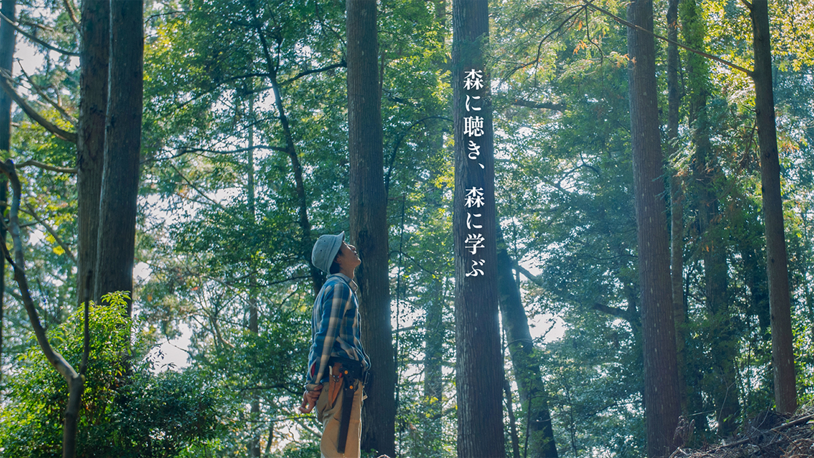 橋本山林