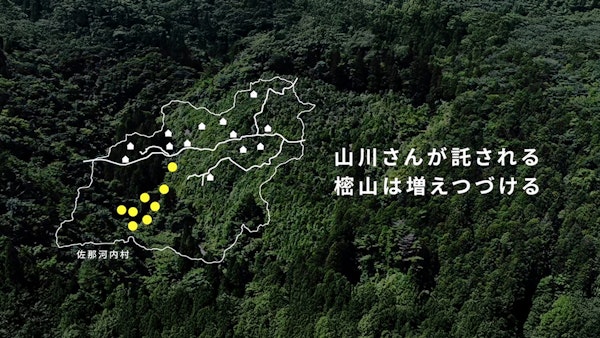 樒（シキミ）と山守 Yahoo! MICRO DOCS11