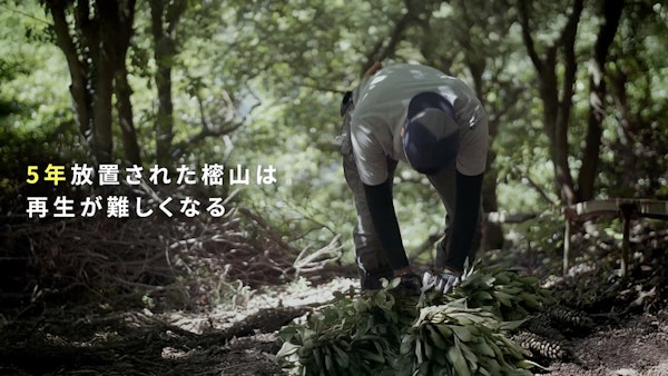 樒（シキミ）と山守 Yahoo! MICRO DOCS12