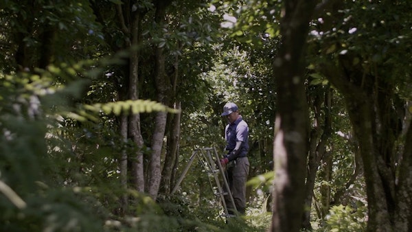 樒（シキミ）と山守 Yahoo! MICRO DOCS14