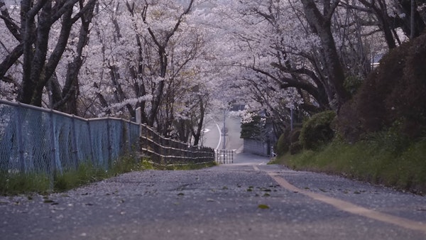 佐那河内村〜千年の想いと歴史をのせて〜11