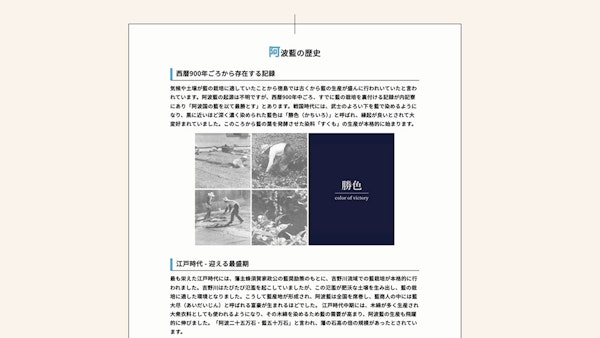 とくしま伝統産業振興協会12