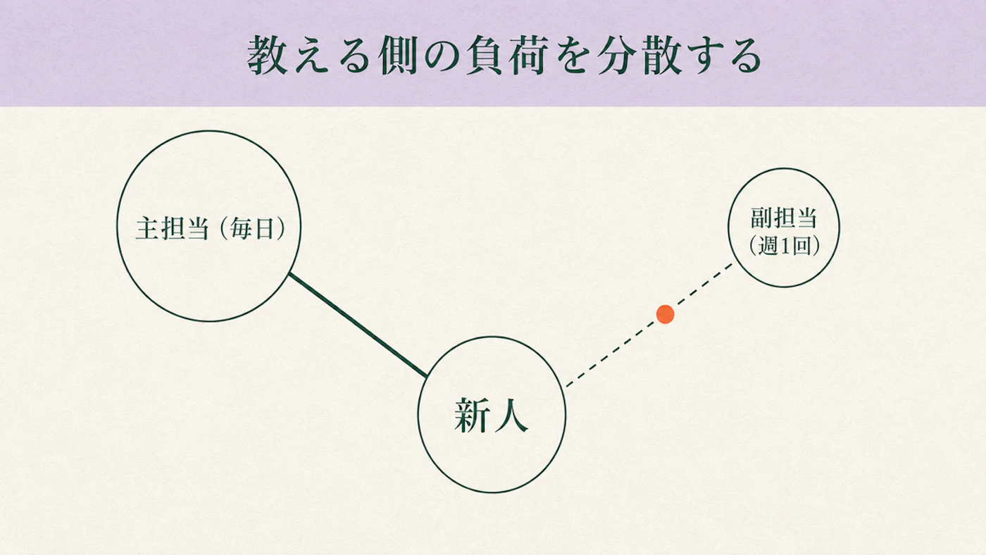 新人を中心に、毎日声をかける主担当と週1回声をかける副担当の2人でつながりを持つ関係を示した図