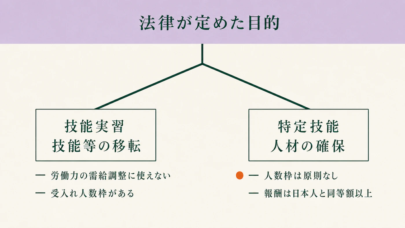 法律が定めた目的から左右に分かれる図。左は技能実習と技能等の移転で、労働力の需給調整に使えない・受入れ人数枠があると続き、右は特定技能と人材の確保で、人数枠は原則なし・報酬は日本人と同等額以上と続く