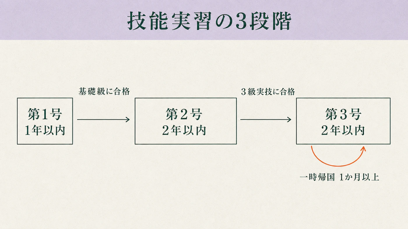 第1号1年、第2号2年、第3号2年の3段階を左から右へ並べ、段階の間に基礎級の技能検定と3級実技の合格を示し、第3号には1か月以上の一時帰国が付くことを添えた流れ図