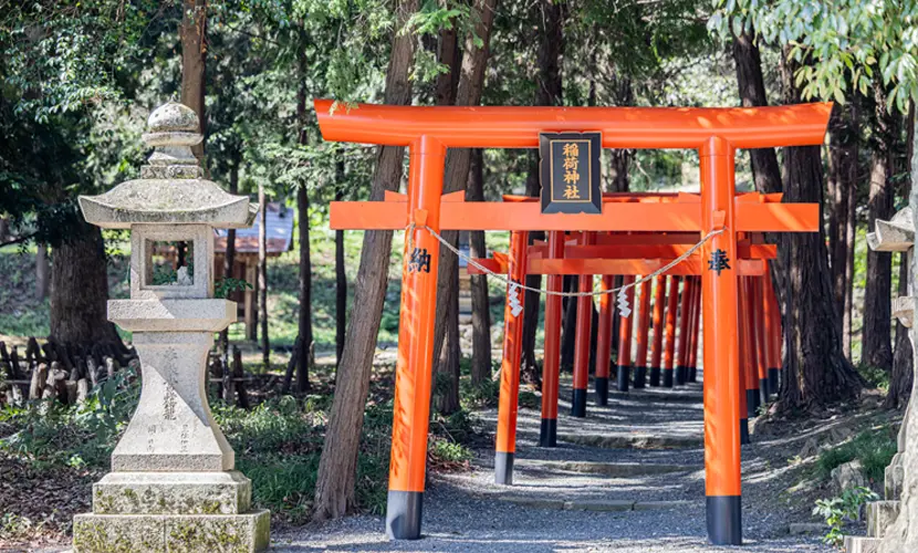 岡山県で七五三写真費用を安く抑えるポイントは？スタジオグッドの七五三プラン紹介