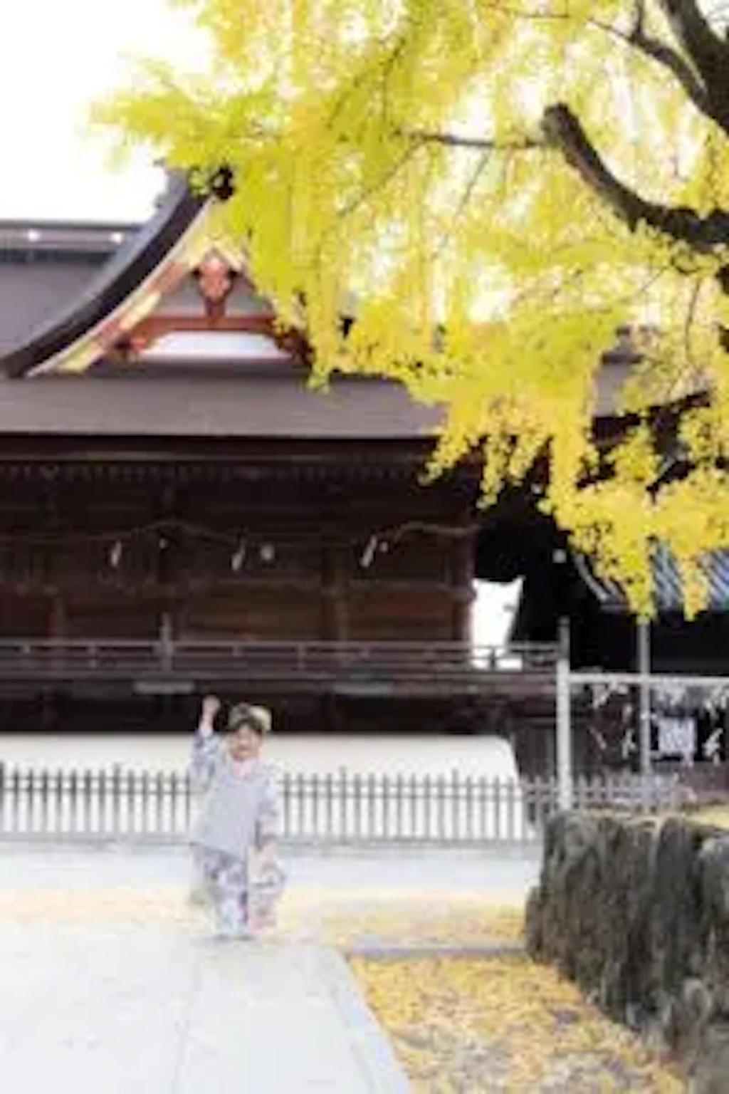 岡山吉備津神社の拝殿を背景に、黄色く色づいた銀杏の下に立つ七五三の女の子