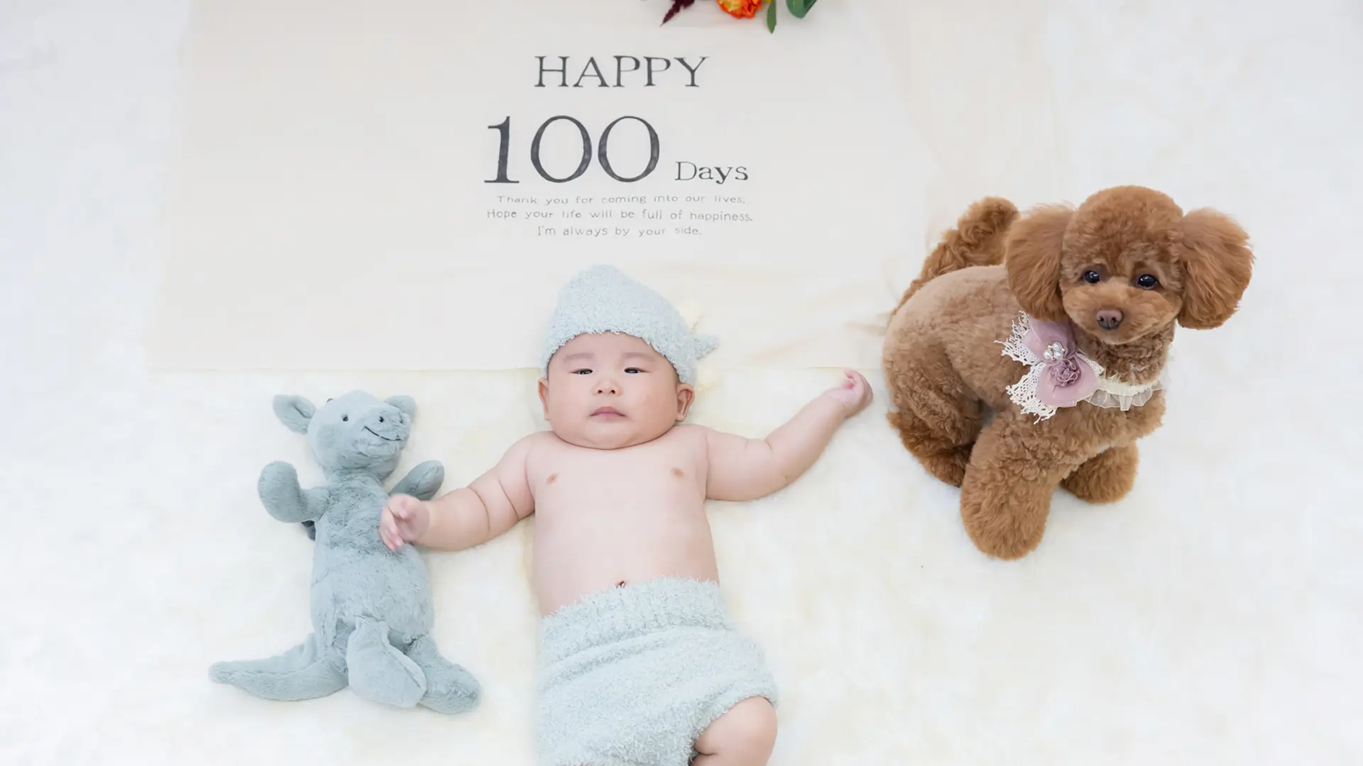 【お宮参り】デザインアルバム＆フォトのイメージ写真