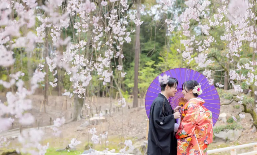 春の桜ロケーションフォト