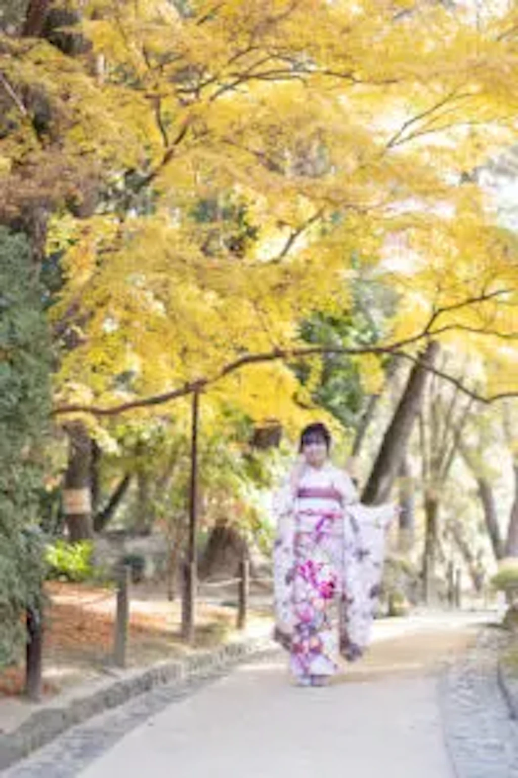 岡山後楽園の紅葉に彩られた並木道を、振袖姿で歩く成人式の前撮りのお嬢様を撮影した様子